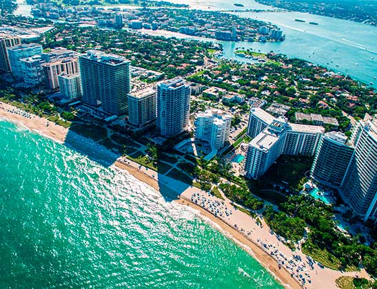 Buyer Profiles & Demand Trends