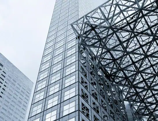 South of Fifth Luxury Real State