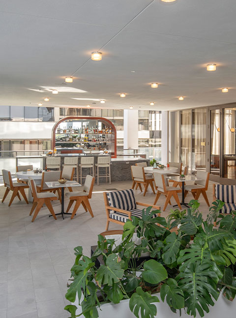 Mr C Residences Coconut Grove 35 Mr-C-Residences-Imagenes-9