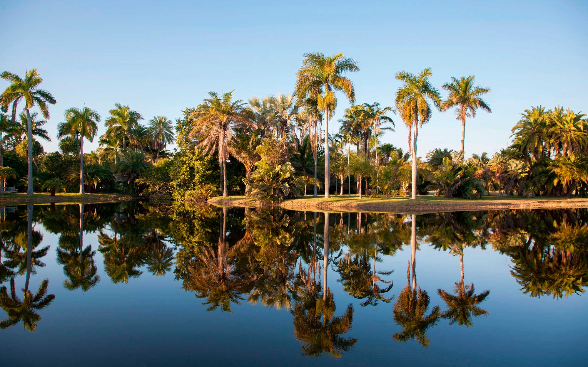 Coral Gables Luxury Real Estate